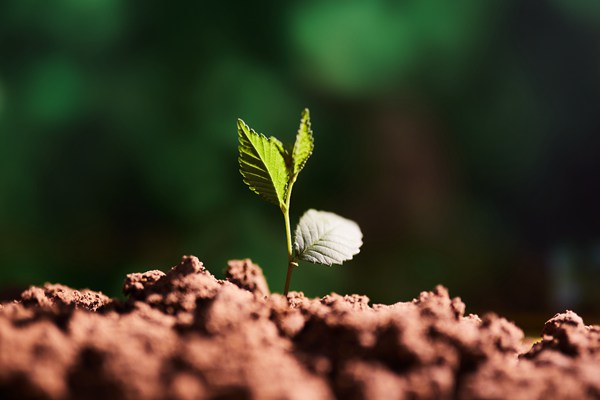 精準溯源！南京積極探索農業面源污染防治新模式