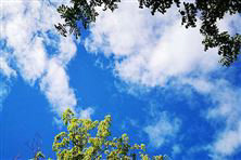 迎“藍”而上！直擊攀枝花、德陽、內江大氣攻堅現場