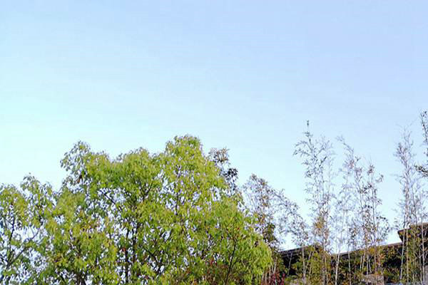 廢氣治理＋綠色運輸！安徽省第三生態環境保護督察組調研阜陽空氣質量提升攻堅 