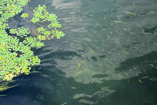 常州市召開全市污染防治攻堅(jiān)推進(jìn)會(huì) 