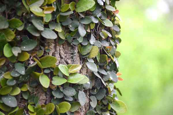 全國已建成“兩級、三類、一清單”的生態環境分區管控體系 